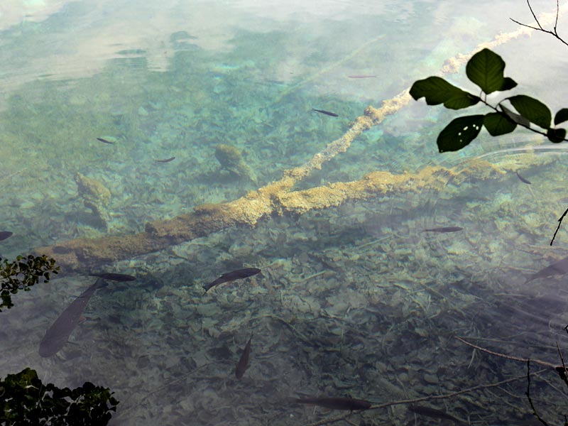 ������� ���������: ������, � �����. ��������� ���