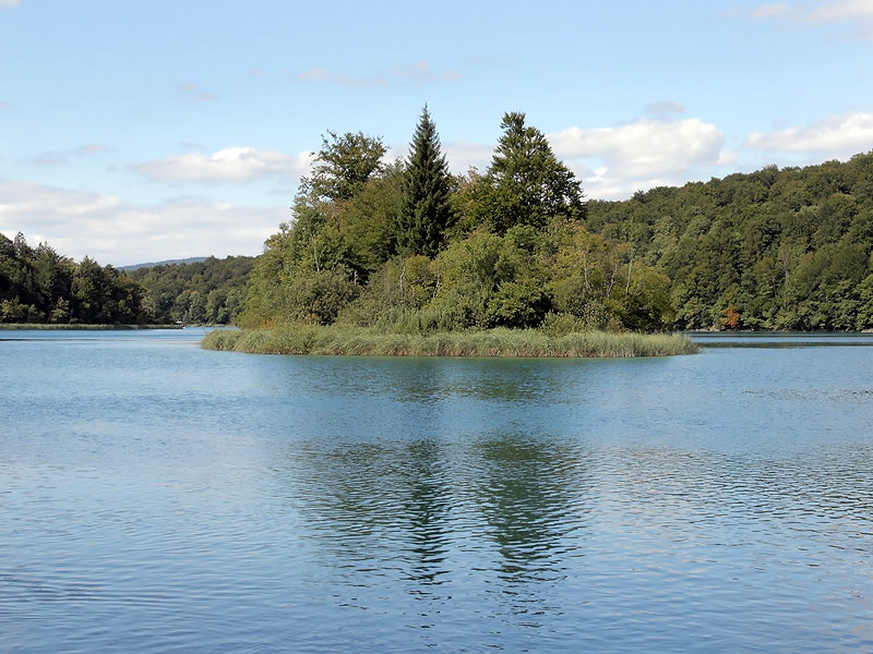 ������� ���������: ����������� ������. ����� ����������