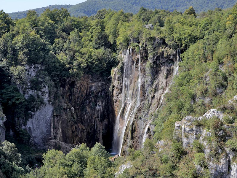 ������� ���������: ������� ��������, 72�. ������� ��� �������