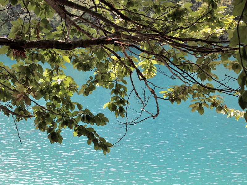 ������� ���������: ���� ����. ����������� �������