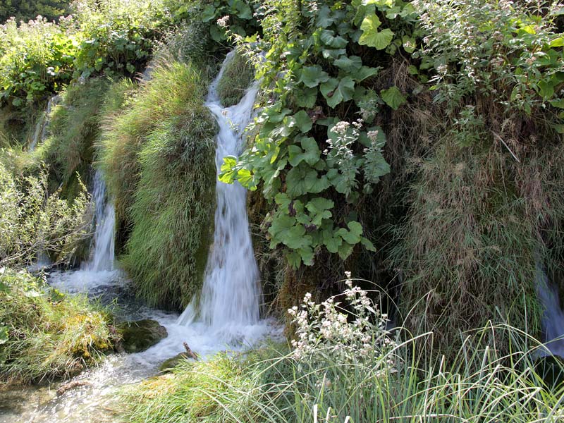 ������� ���������: ���������. ����������� �������