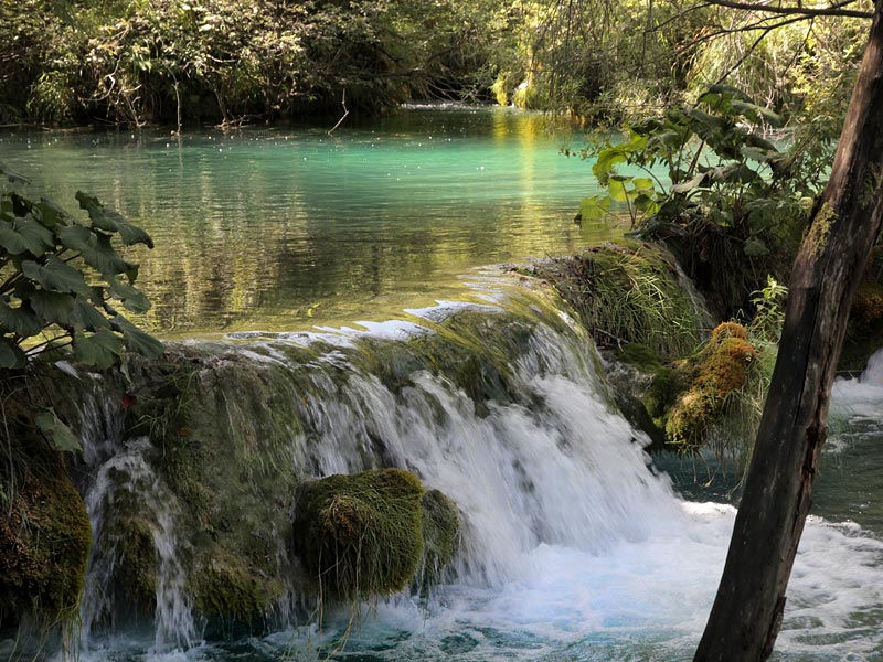 ������� ���������: ������� �������. ���� ������������ � ������ ������ �� ������