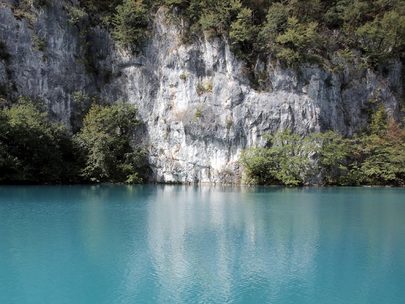 ������� ���������: ���������� �������� �����. ����� � ��������� ���������� ���