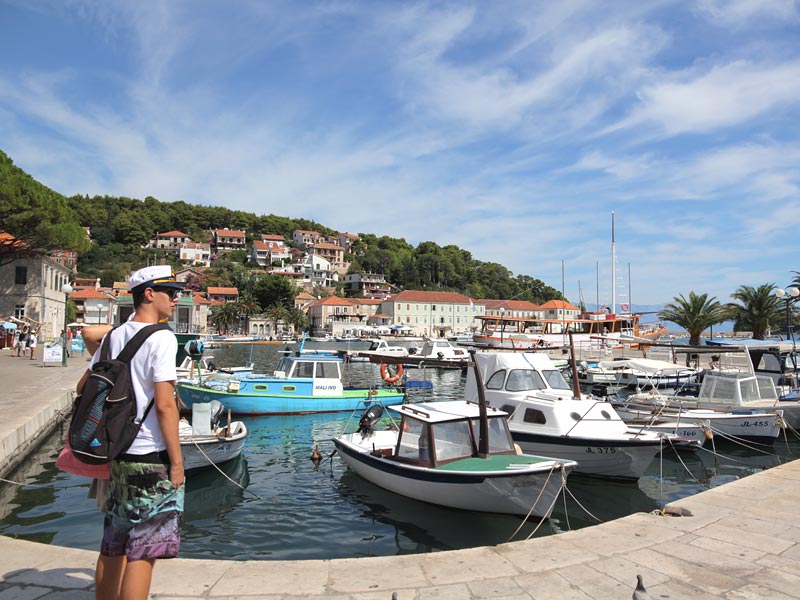 ������� ���������: ����������� �������. �����, ������ ����