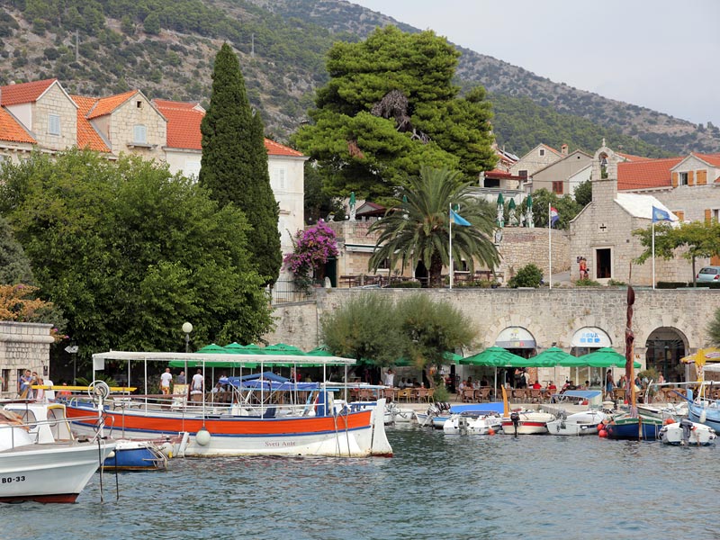 ������� ���������: �� ���� ������� ����. � ������