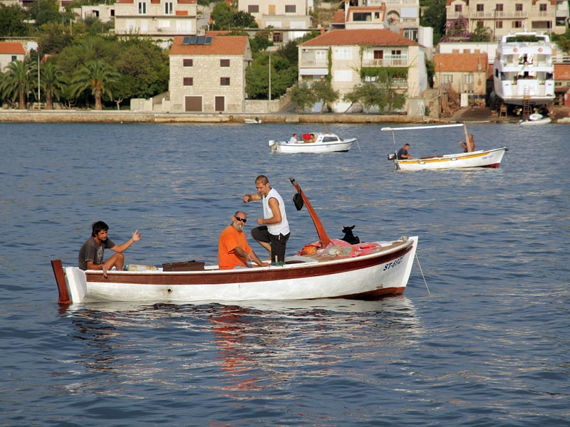 ������� ���������: �� �������� ������. ������