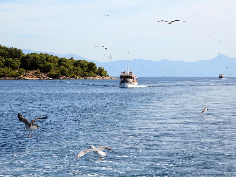 ������� ���������: ����� �� ������ �������. ����� �� ������