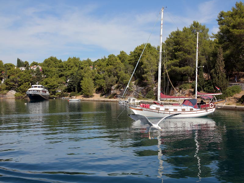 ������� ���������: ������� �� �������. ���������� ������ ����