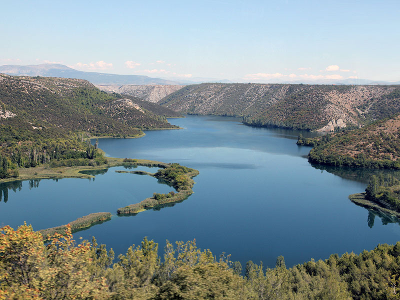 ������� ���������: ��������� ����. ���� ����