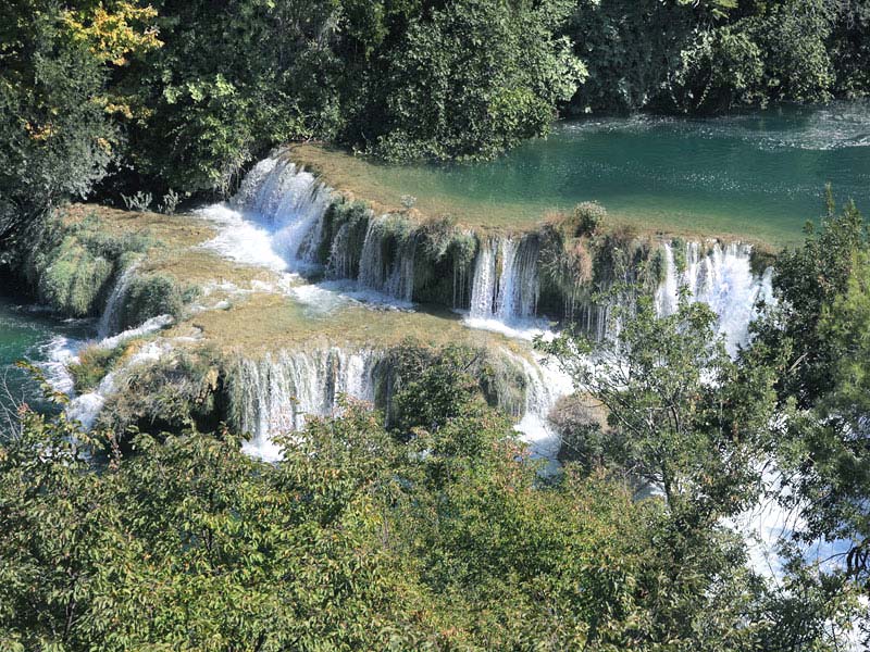 ������� ���������: ����������� ���. �������