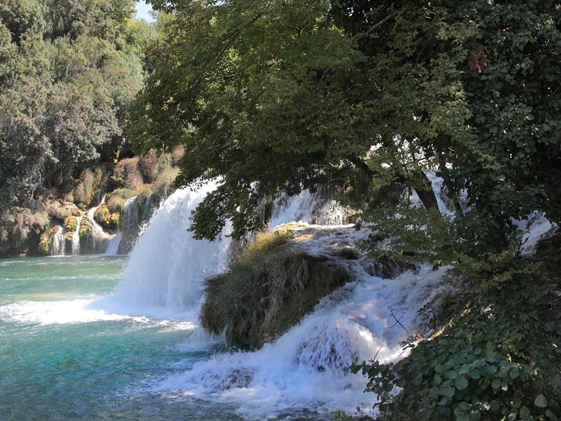 ������� ���������: � ������ �����. ������� ����������� ���