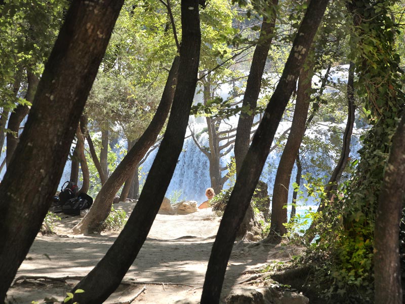 ������� ���������: ������� �������. ��������� �����