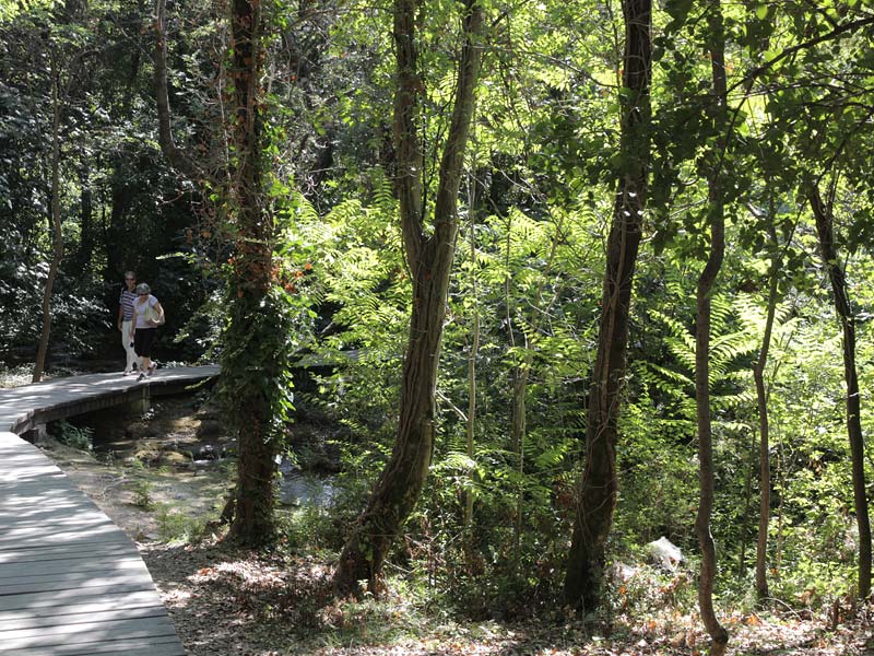 ������� ���������: � ��������� ����. ��������