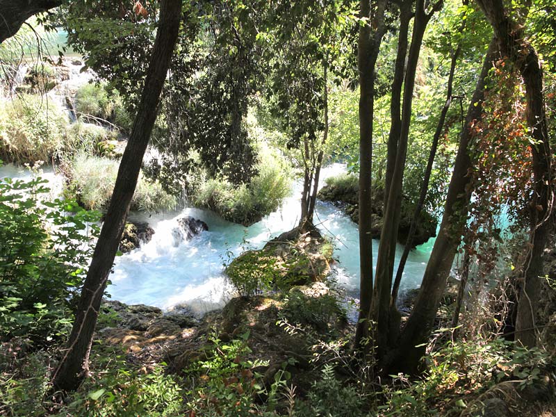 ������� ���������: ��������� ������� � ���������� ����. � ����