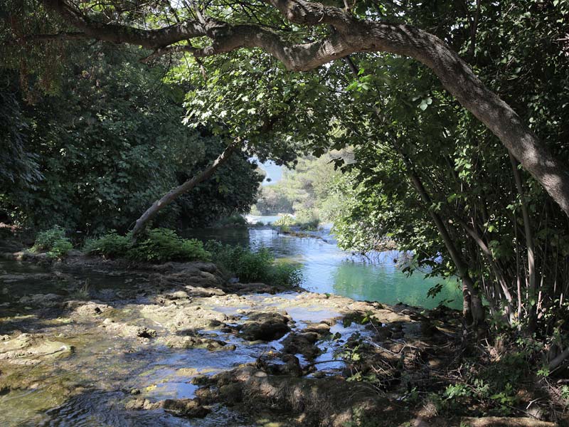 ������� ���������: ��� ���������. ����� ��� ���� � �����