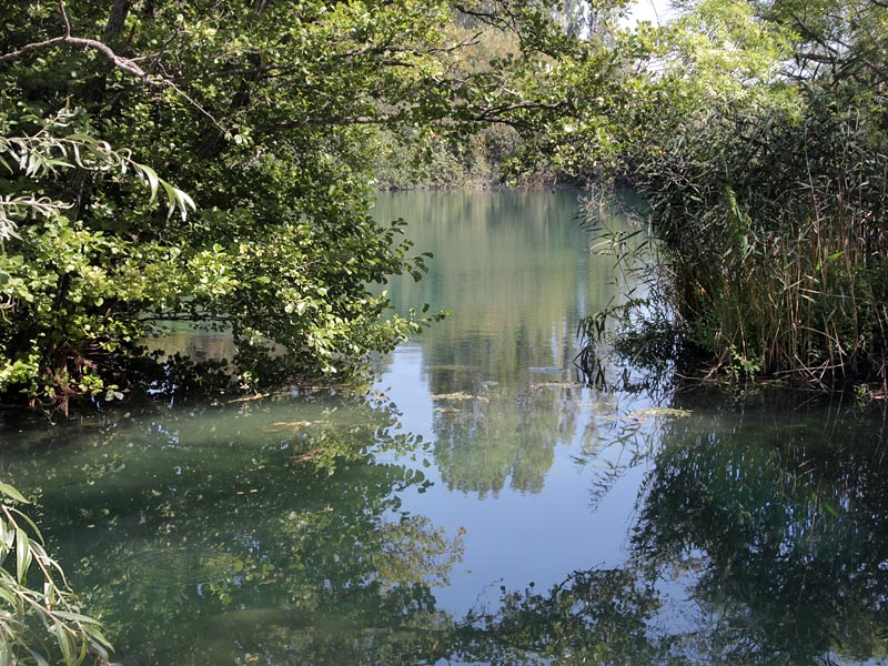 ������� ���������: ���������� ������� ��������� � ������� � �����. ������ ����� ���������, ��������