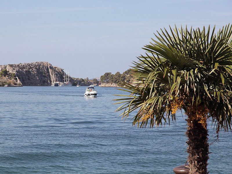 ������� ���������: ���� ���������. ����� � ������� �����