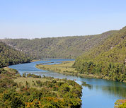 ���� ����