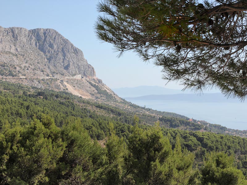 ������� ���������: ������ �� ��. ���� � ����