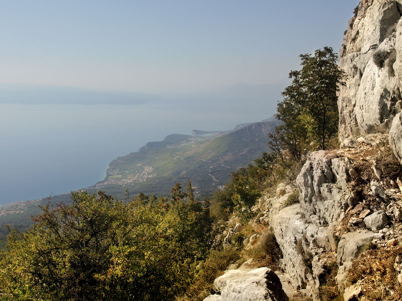 ������� ���������: �� �������. ���� � ����