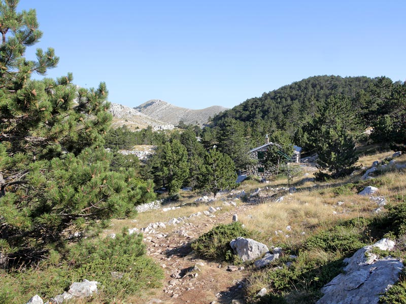 ������� ���������: �������� ������. ������ � ���� � ���������� ��������