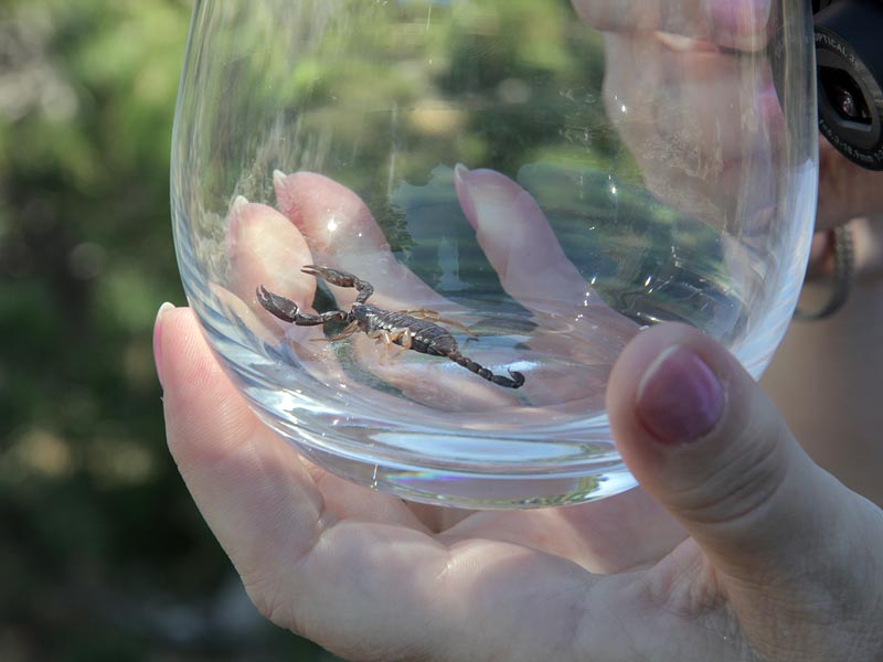 ������� ���������: �������� � �����. ������� �����