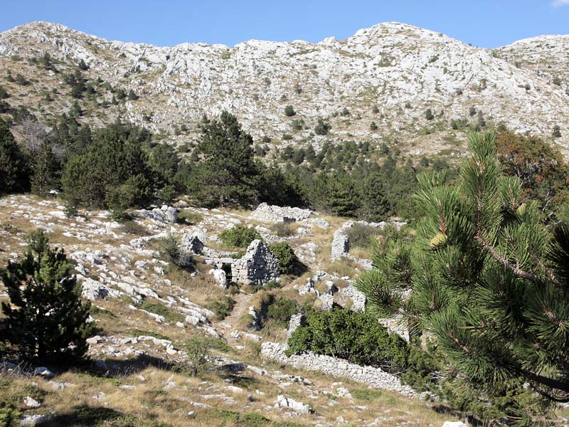 ������� ���������: ����� ���� ���������. ����� ����������� �����������