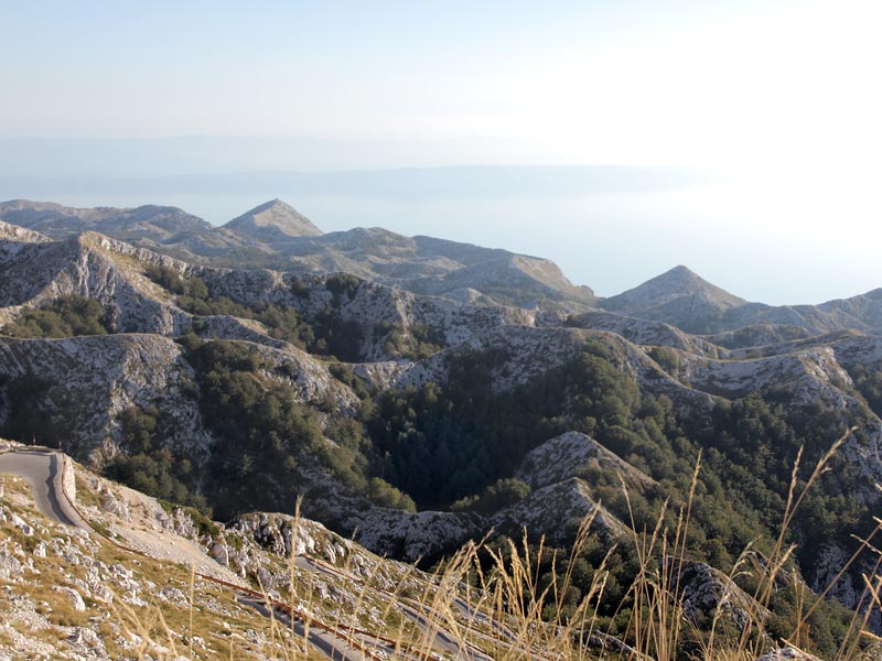 ������� ���������: �������. ����������� �������� �������