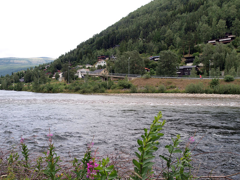 ������� ���������: ��������� ���������� �������. ���� � �������