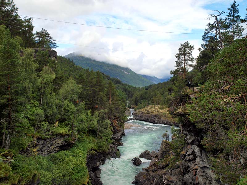 ������� ���������: ������ ��������������. ��� � ��������: ������ � ����