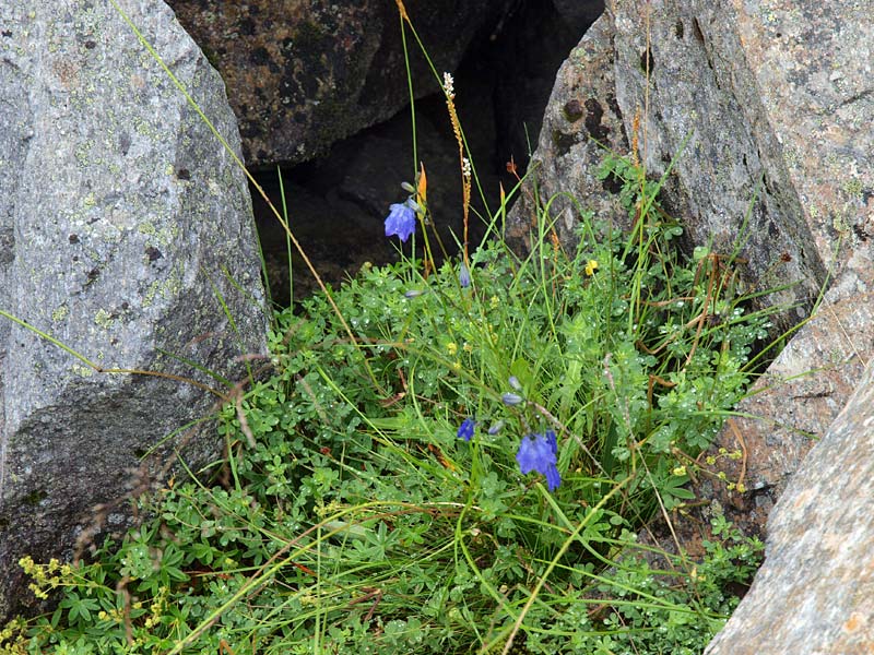 ������� ���������: ����� � ����. ��� � ��������: ������ � ����