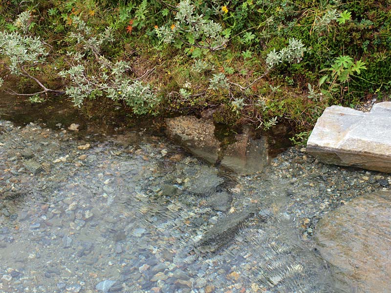 ������� ���������: �������� �������. ��� � ��������: ������ � ����