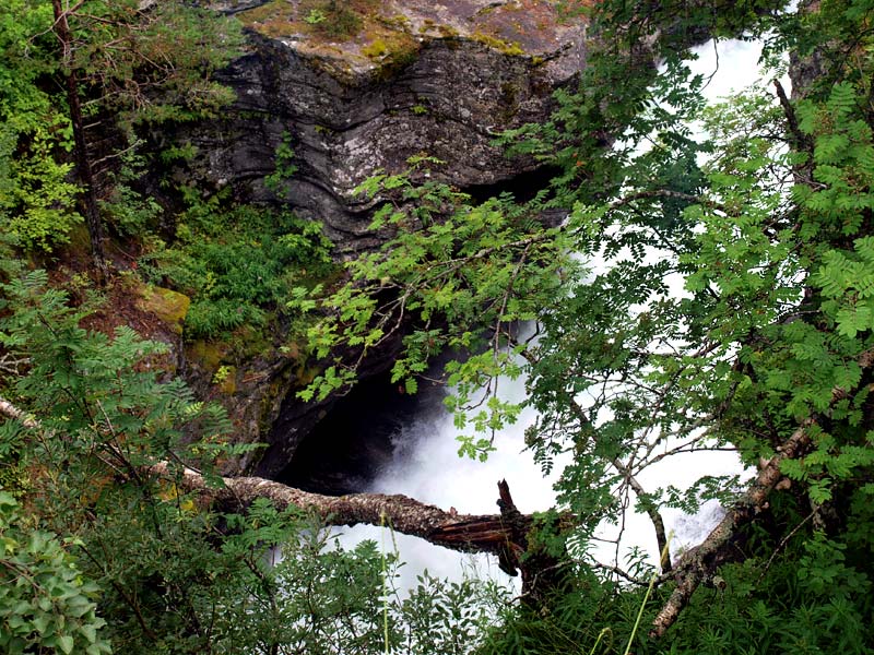 ������� ���������: ������ �������. ��� � ��������: ������ � ����