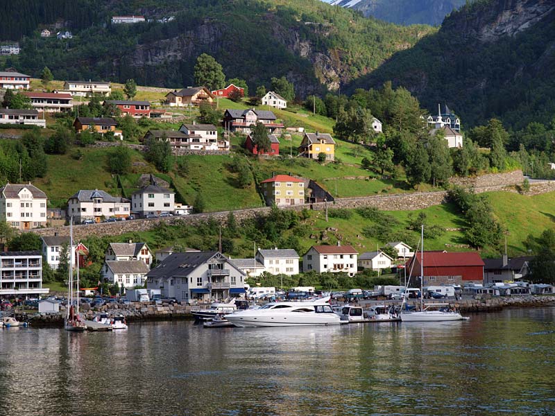 ������� ���������: ���������. ��� � ��������: ������ � ����