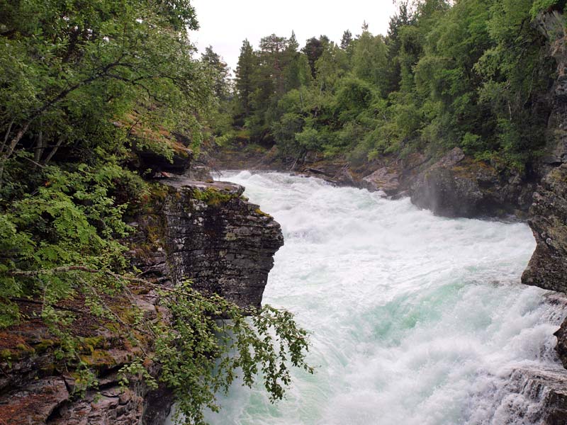 ������� ���������: ������� � ��������. ��� � ��������: ������ � ����