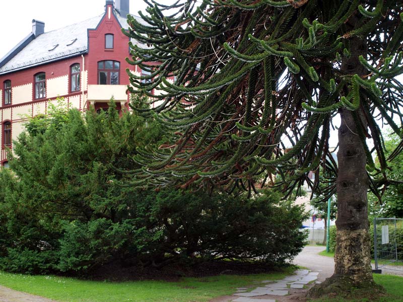 ������� ���������: ���������� � ������ � ��������� �����. ��� � ��������, ������ � ������