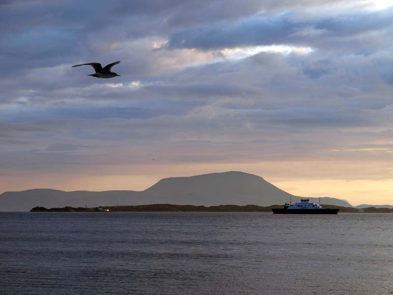 ������� ���������: �������. ��� � ��������, ������ � ������