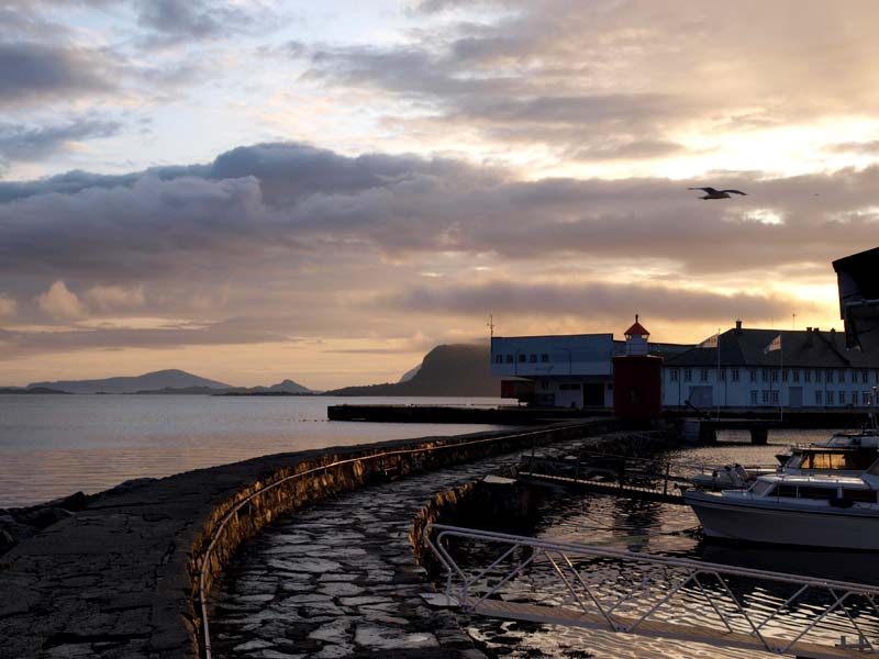 ������� ���������: �������, ������ ������. ��� � ��������, ������ � ������