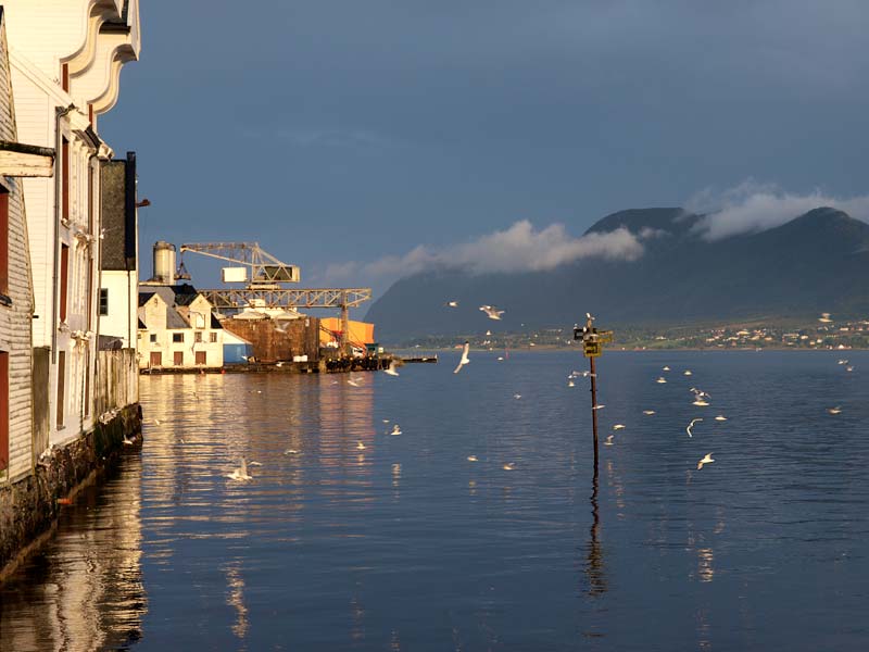 ������� ���������: ����� �������� �����. ��� � ��������, ������ � ������