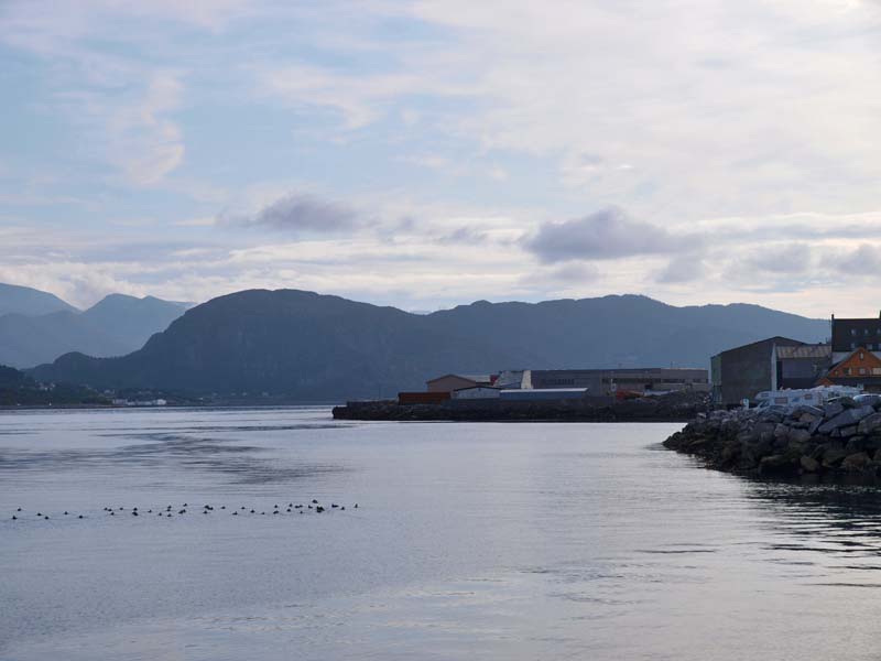 ������� ���������: �������, ���� � ������� ��������. ��� � ��������, ������ � ������