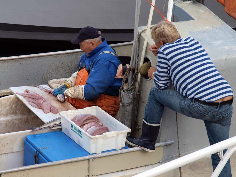 ������� ���������: �������, ����� �������. ��� � ��������, ������ � ������