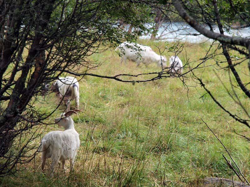 ������� ���������: ���� � ������. ��� � ��������: ������ � ������