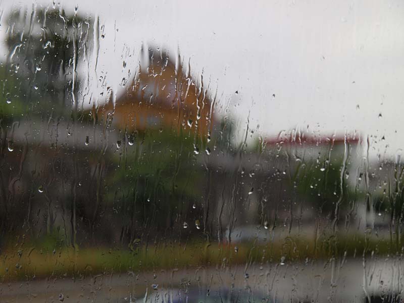 ������� ���������: �����. ��� � ��������: ������ � ������