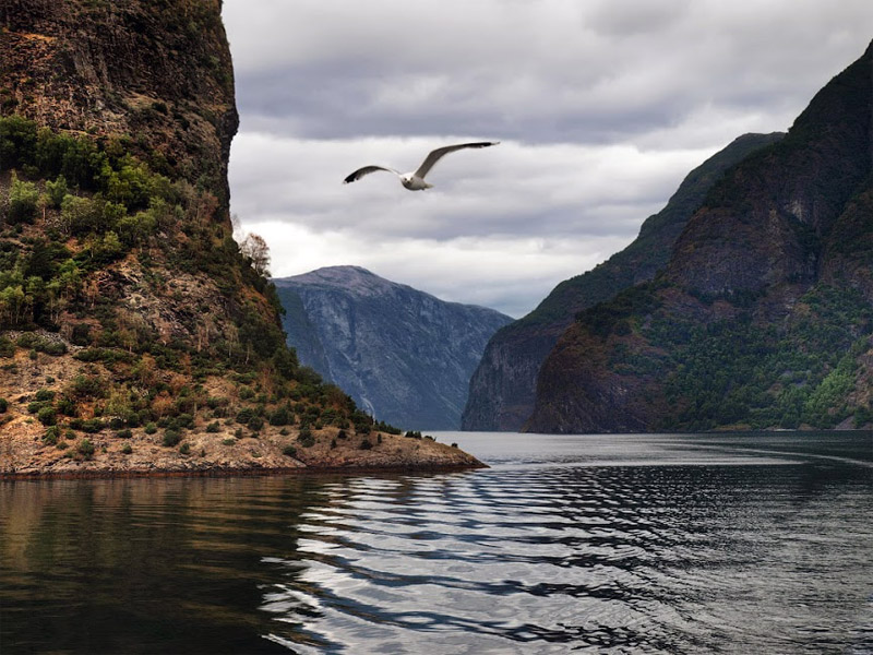 ������� ���������: ����� ��� �������. ��� � ��������: ������, ����� �������