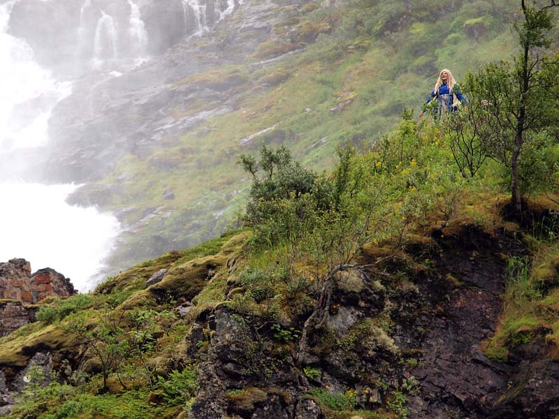 ������� ���������: ��������� � �������. ��� � ��������: ������ � ��������