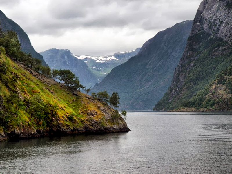 ������� ���������: ������� �� ������. ��� � ��������: ������, ����� �������