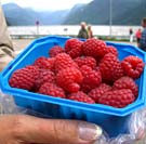 ���������� ������