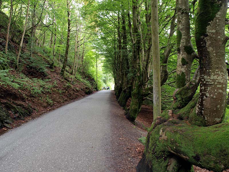 ������� ���������: ������� ����� �� ����� �������. ��� � ��������: ������ � ������