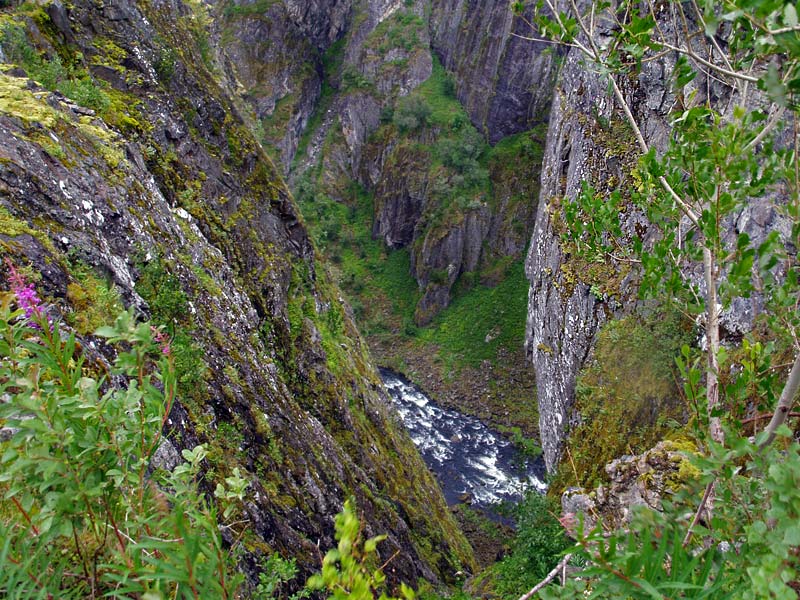 ������� ���������: �������� �������. ��� � ��������: ���� � ������