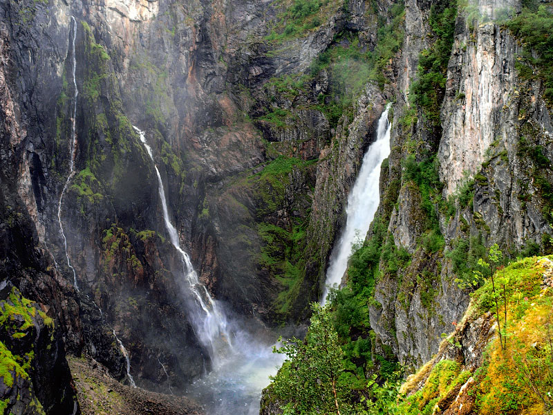 ������� ���������: �������� ������� � ������ �����. ��� � ��������: ���� � ������